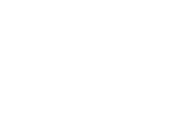 Vertice